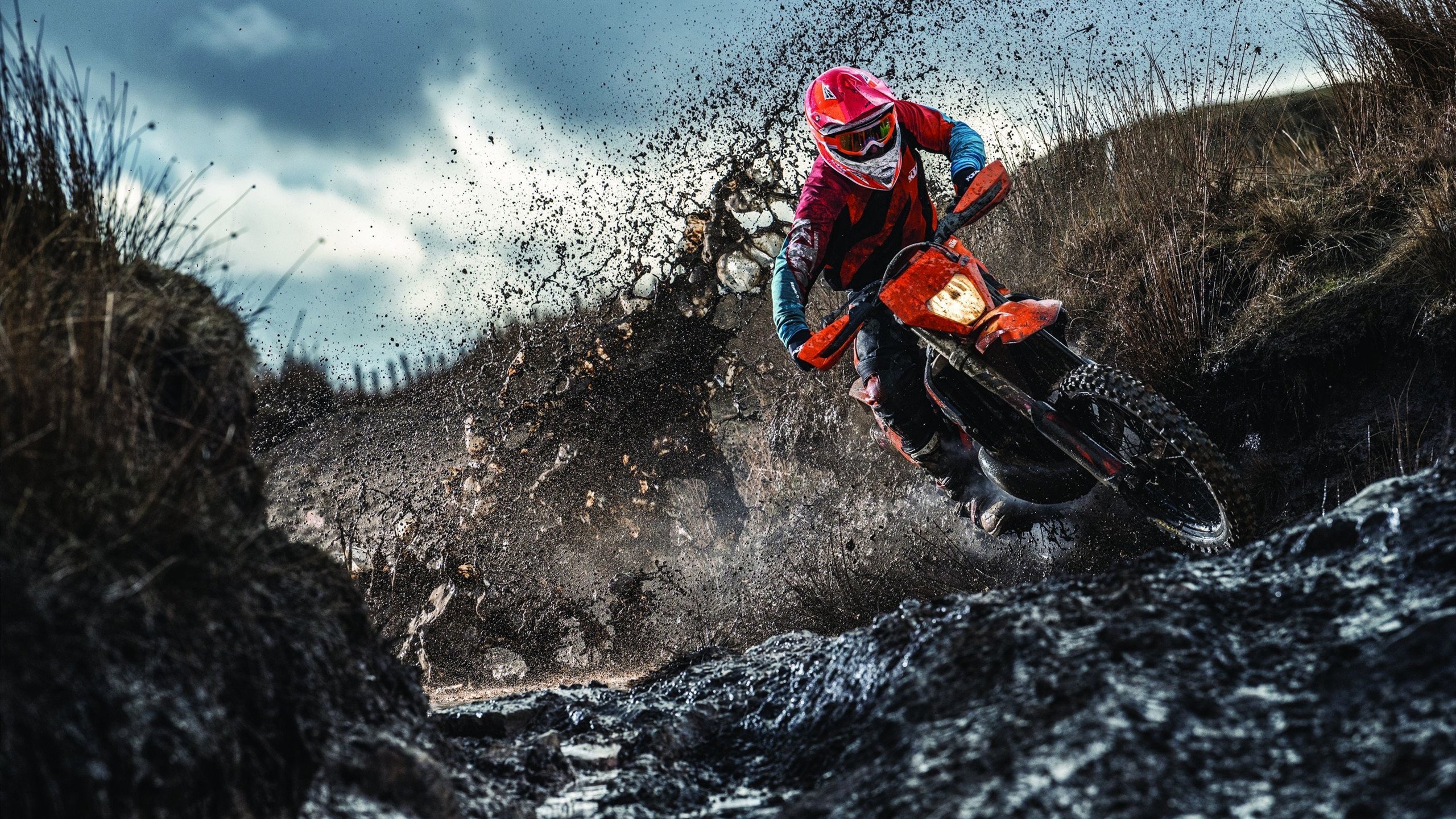 小杨遭遇成长困境，这三位全明星也曾经历，小杨遭遇成长困境,这三位全明星也曾经历过